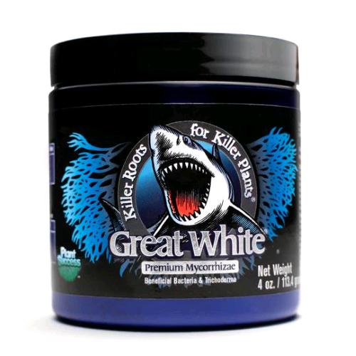 Great White