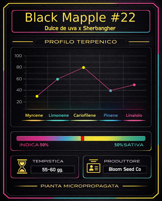 Black Mapple #22