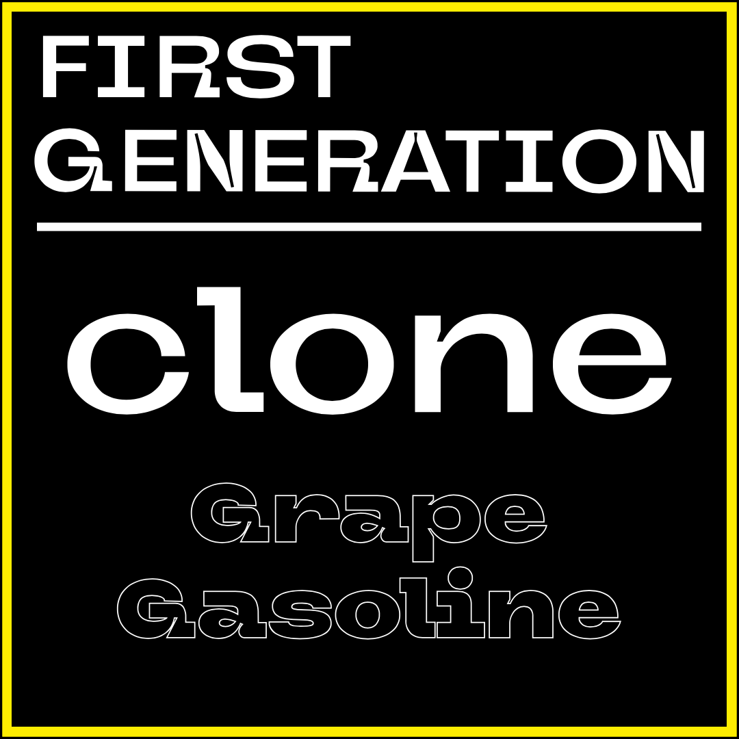 Grape Gasoline