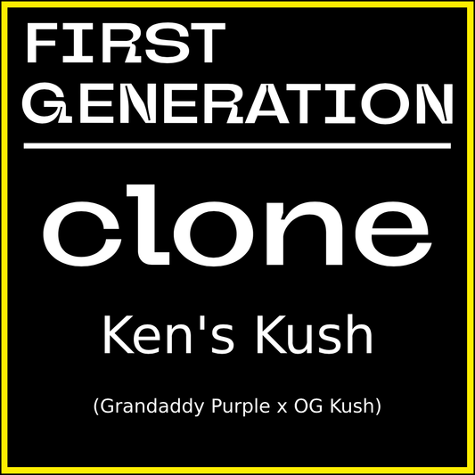 Ken's Kush