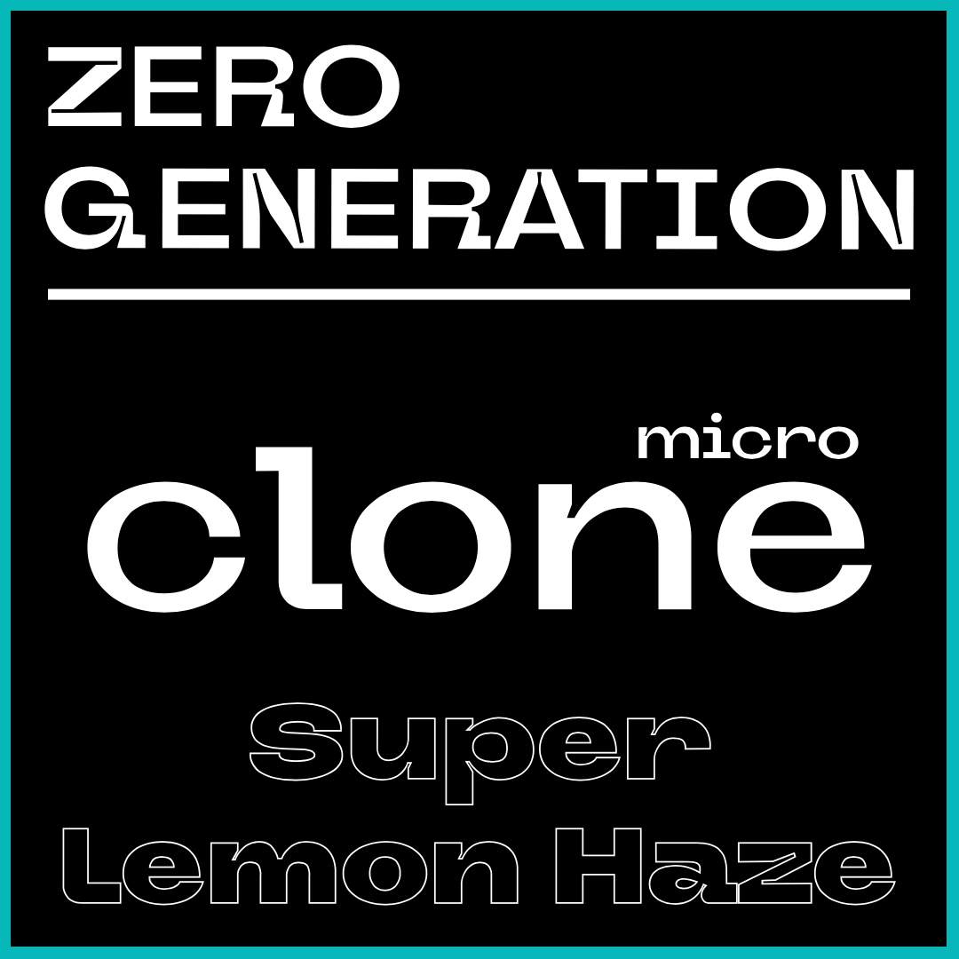 Super Lemon Haze (Gen Zero)