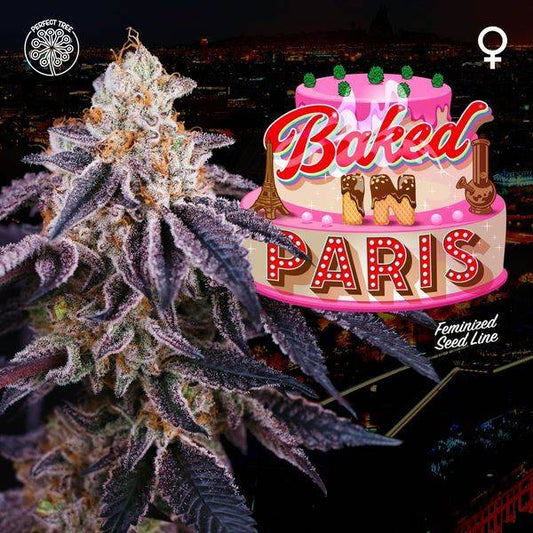 Baked in Paris