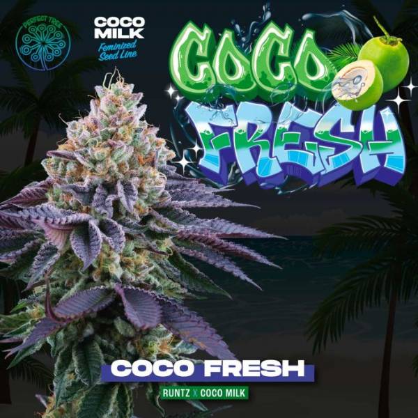 Coco Fresh