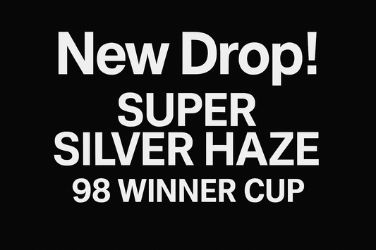 sfondo nero con scritto in alto New Drop! e sotto Super Silver Haze 98 Winner Cup